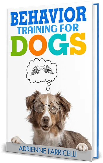 Brain Training for Dogs bonus