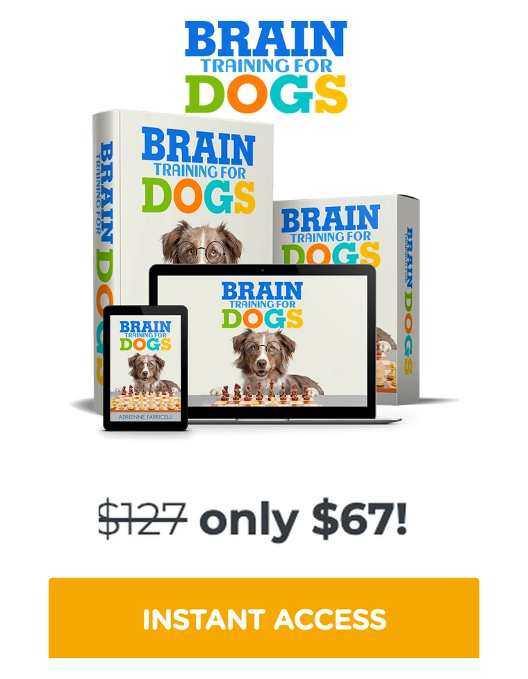 Brain Training for Dogs lifetime access offer