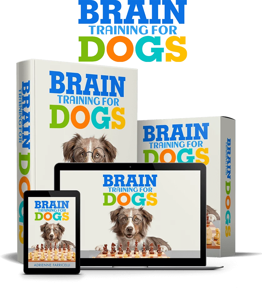 Brain Training for Dogs